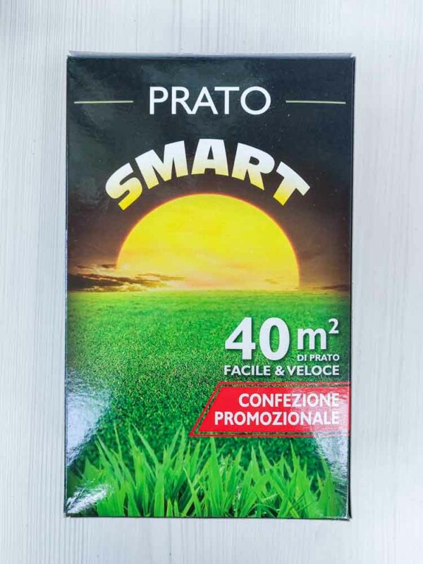 SEMENTE PER PRATO SMART 1 KG FRANCHI